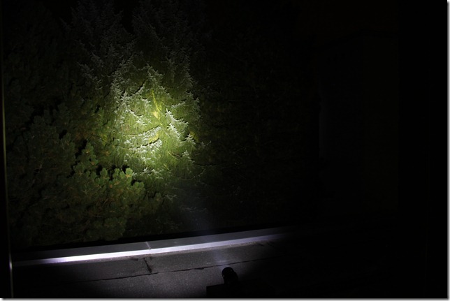 XENO G10 V2 480 OTF-Lumen High